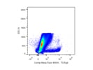TCRgd Antibody With Very Good Staining From Biolegend