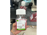 Great Trypsin From Gibco