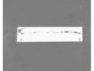 Decent Cleaved Caspase-3 Antibody From  Cell Signaling for Western Blot