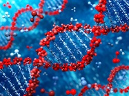 Solid Tumor and Sarcoma Research Panels