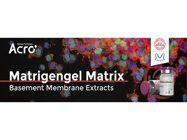 Matrigengel Matrix Basement Membrane Extracts