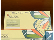 Good Kit From New England Biolabs Ideal for the Isolation of Genomic DNA