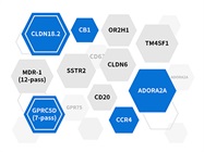 Access the “Undruggable” with DIMA Biotech’s Latest Nanodisc
