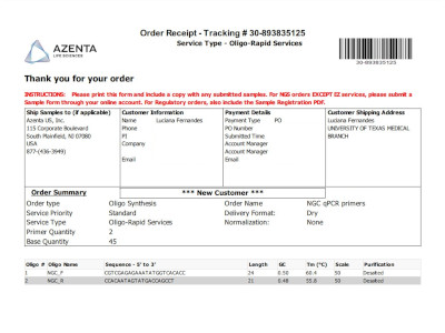 Oligos for qRT-PCR - Service by GENEWIZ From Azenta Life Sciences 