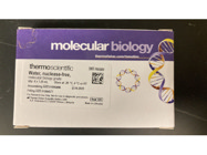 One of the Best Nuclease Free Waters From Thermo Fisher