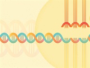 The Path to CRISPR in the Clinic
