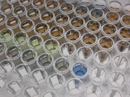 Enabling Solutions with Custom Immunoassays