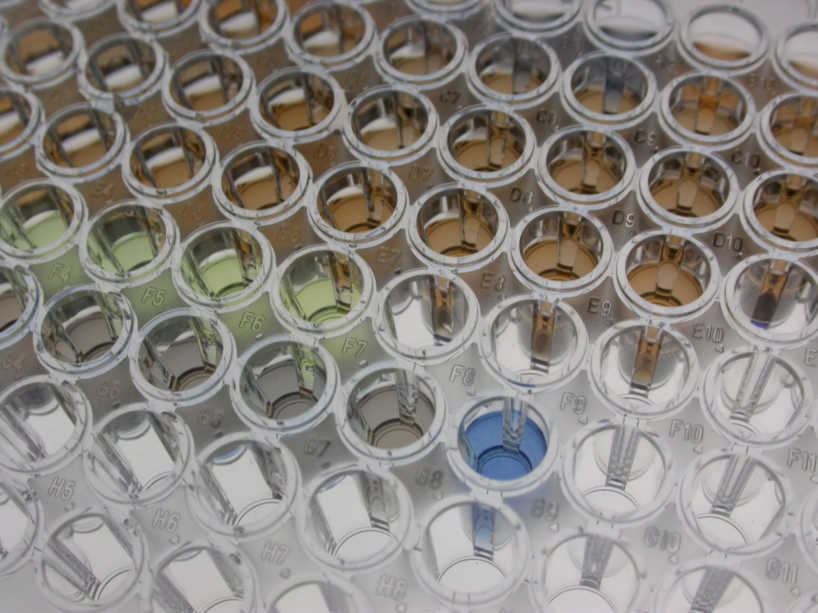  Enabling Solutions with Custom Immunoassays