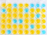 Guide to Immunoassays