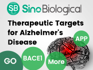 Therapeutic Targets for Alzheimer’s Disease