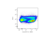 Strong Anti-Mouse MHCII (I-A/I-E) BV711 Antibody From BioLegend