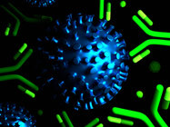 Upgrade Your Antibody. Make An Impact.