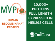 Human Recombinant Proteins- from OriGene