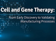 Cell and Gene Therapy: From Early Discovery to Validating Manufacturing Processes