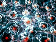Combining Spatial Biology and CRISPR to Fight Cancer