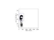 CD4 Antibody From BD Biosciences is Suitable for the Detection of T- Cells