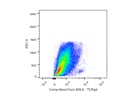 Noteworthy TCRgd Antibody From BioLegend for Flow