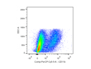 Anti-Mouse/Human CD11b Antibody Shows Excellent Staining