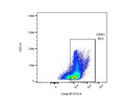 Relatively Dim CD45.2 Antibody for Flow Cytometry