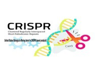 United States Biological offering latest in CRISPR based products!