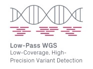 Low-Pass Whole Genome Sequencing (LP-WGS)