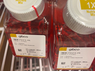 Wonderful for Growing MDA-MB-231 Cells