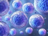Getting started with Xenium In Situ