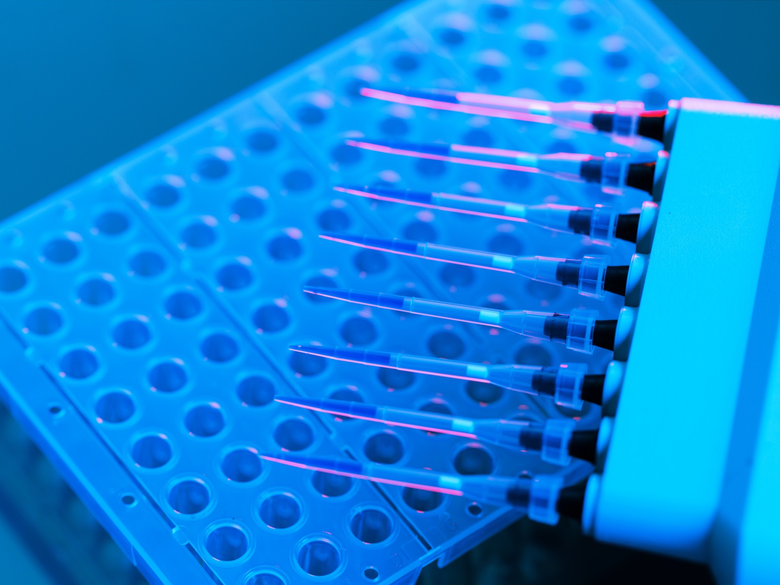  Select Your Immunoassay Platform