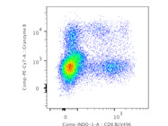 Bright and Specific Granzyme B Antibody From BioLegend