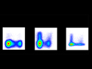 Bright and Specific IL-2 Antibody from BioLegend