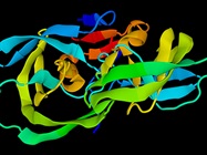 How to Select the Right Protease Inhibitor