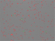 Best Practices for Nuclei Extraction and Counting in Single-Cell Sequencing