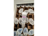 Master Mix From  New England Biolabs for Easy Plasmid Generation