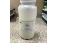 Probumin Bovine Serum Albumin From Millipore Works Very Well in IHC