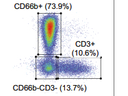 [App Note] 9-Color Panel Design for Cell Sorting