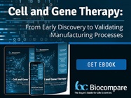 Cell and Gene Therapy: From Early Discovery to Validating Manufacturing Processes
