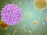 Comprehensive Solutions for CAR-NK Cell Therapy