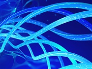 New Approaches to Antibody Generation
