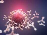 Revolutionize bispecific antibody development with heavy chain and common light chain technology