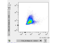 Great Antibody From BioLegend With Good Staining