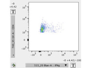 Anti-Mouse CD4 BUV737 Antibody From BD Biosciences Shows Good Staining