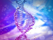 ATCC Authenticated reference materials that support your essential testing