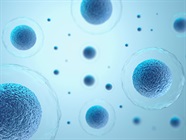 How to Identify a Cost-Efficient and Sustainable CO2 Incubator