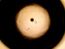 96 Multiwell Plate From  Corning Life Sciences for Spheroid Culture