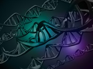 Advancing Cancer Research with Next-Generation Sequencing Technologies