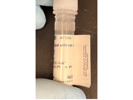 Great Anti-Rat Secondary Antibody From Invitrogen