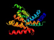 Exploring Tools and Tech for PROTAC Research