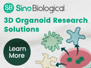 3D Organoid Research Solutions