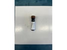 PE/Cyanine7 Anti-human CD294 (CRTH2) Antibody From Biolegend Does Not Disappoint