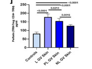 Estimation of Perforin Can Be Done Efficiently With This Wonderful ELISA Kit
